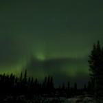 Aurore Boreal, Boreal Aurora